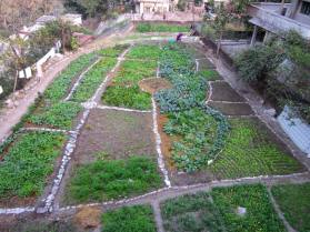 Ambiya Paradise Organic Garden